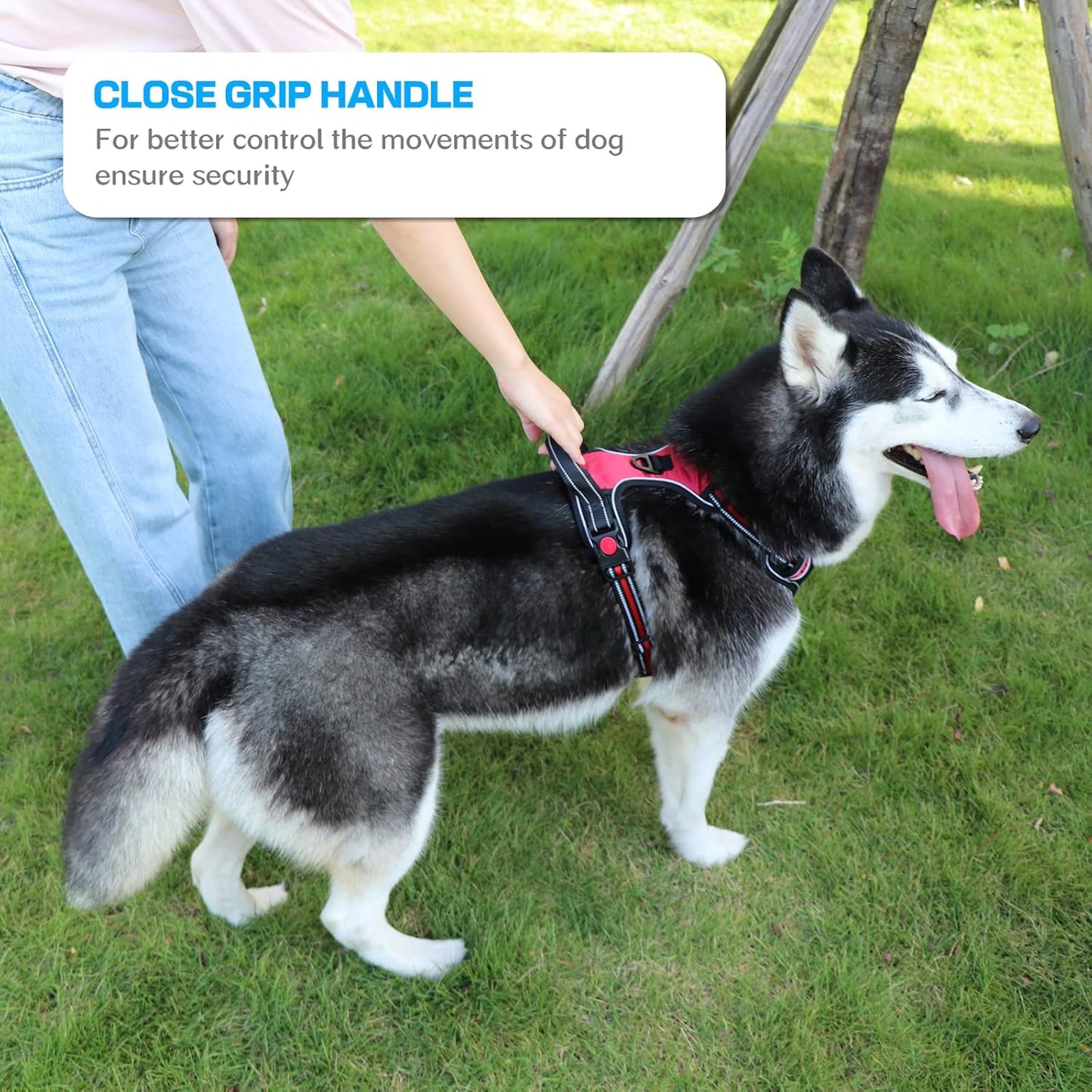 No Pull Dog Harness, Adjustable Soft Padded Dog Vest, Medium Large Dog Harness with 5FT Dog Leash,Reflective No-Choke Pet Oxford Vest with Easy Control Handle Blue