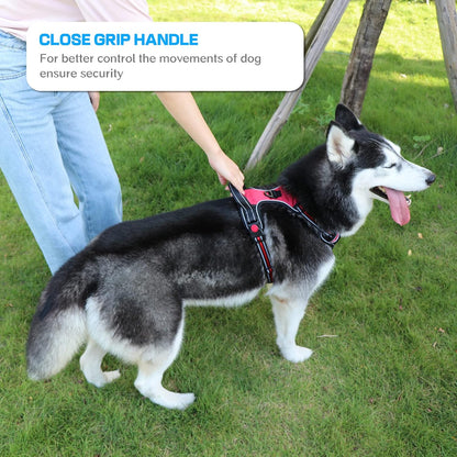 No Pull Dog Harness, Adjustable Soft Padded Dog Vest, Medium Large Dog Harness with 5FT Dog Leash,Reflective No-Choke Pet Oxford Vest with Easy Control Handle Blue